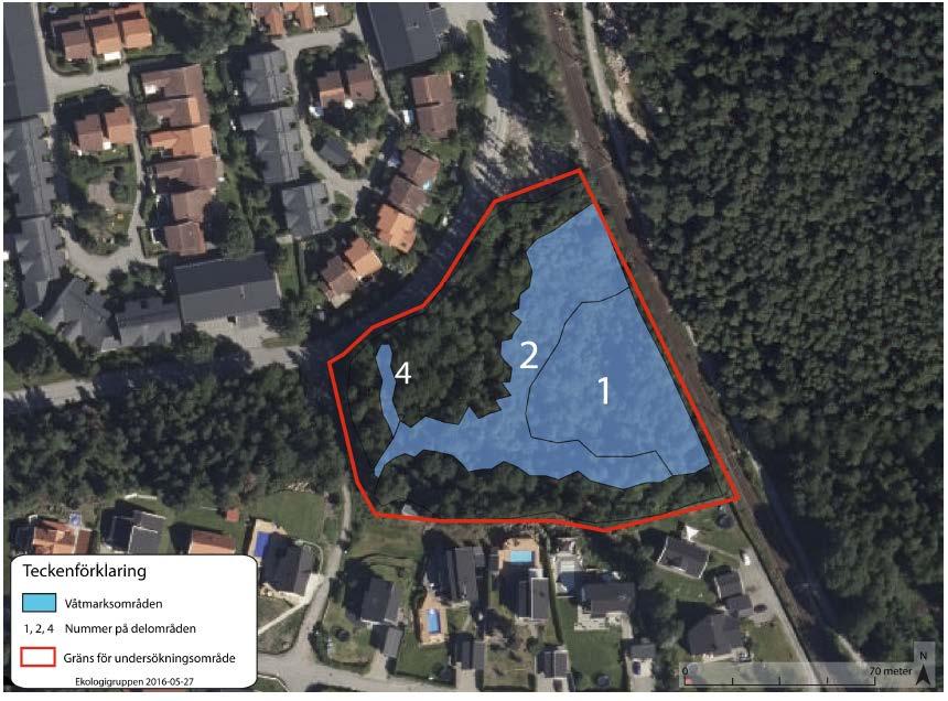 2017-08-31 s 19 (38) Figur 6.3. Karta med vatten/våtmarksområden från utförd naturvärdesinventering. Röd linje anger ungefärligt undersökningsområde.