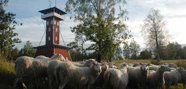72 Västerplana kyrka Lördag: Öppen och bemannad för visning. Lördag kl 11 Pop-up-konsert med Björn Hald - sång och gitarr och Anna BomanHald - flöjt. Psalmer o andlig folkton på vårt vis.