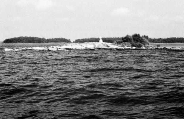 Fågelskärens mest exklusiva häckfåglar är kanske ändå roskarl och skräntärna, två arter som i Sverige annars är helt kustbundna. Fågelskären har en nyckelfunktion för många av skärgårdens sjöfåglar.