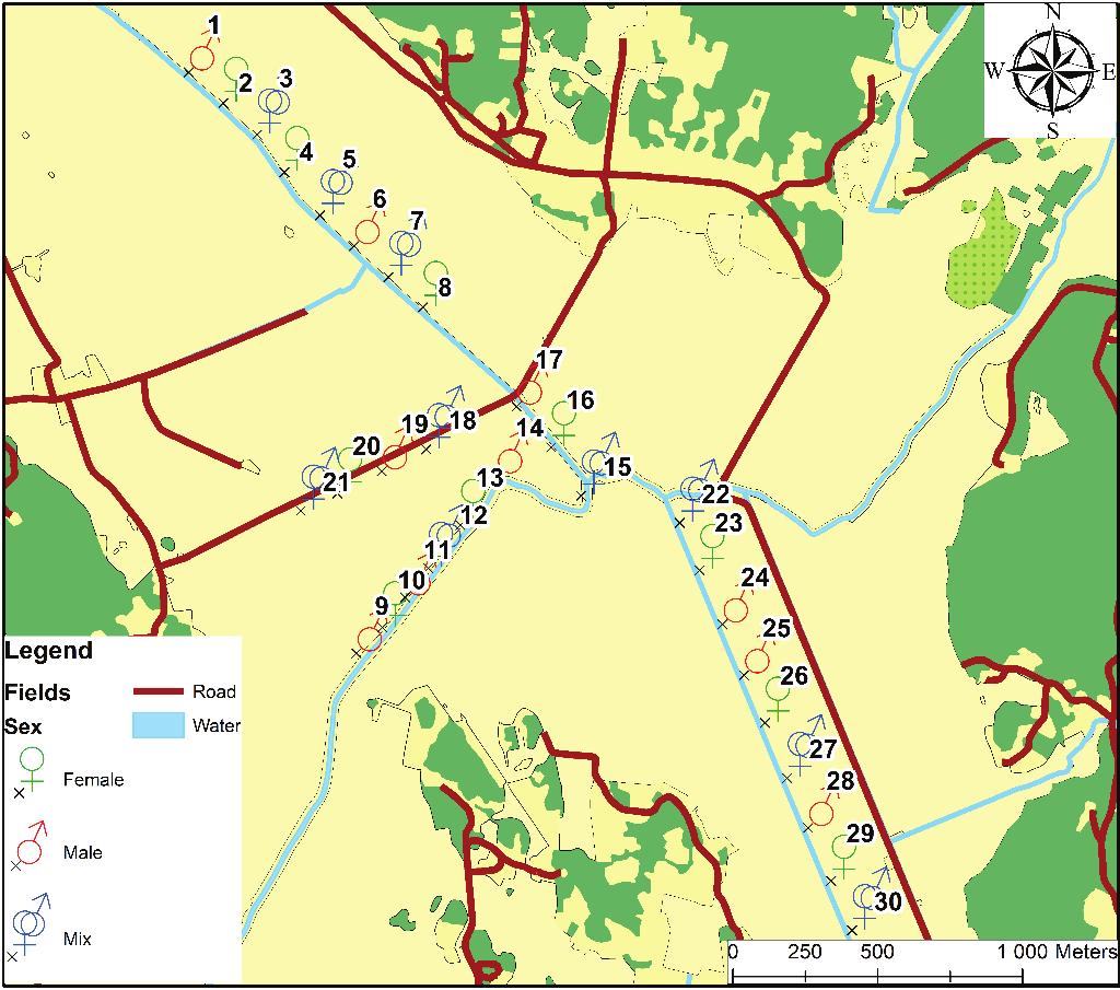 Figure 2. Map over field experiment, with male and female monosexual plots, and plots comprised of even mixes of male and female genotypes.