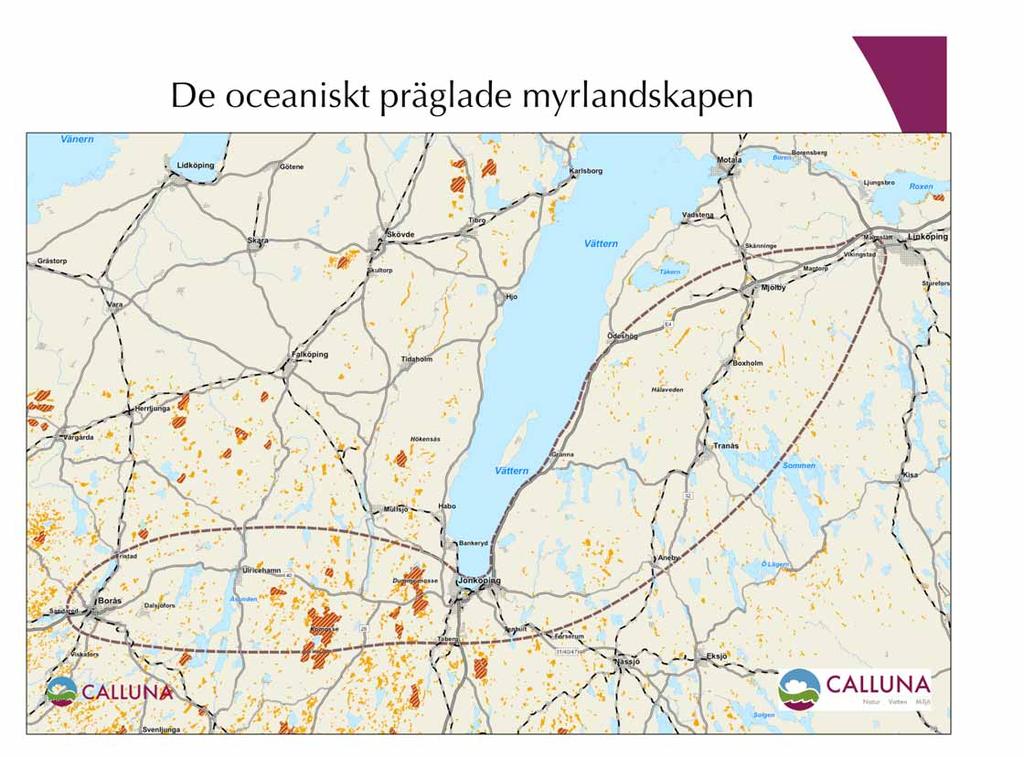 De oceaniskt