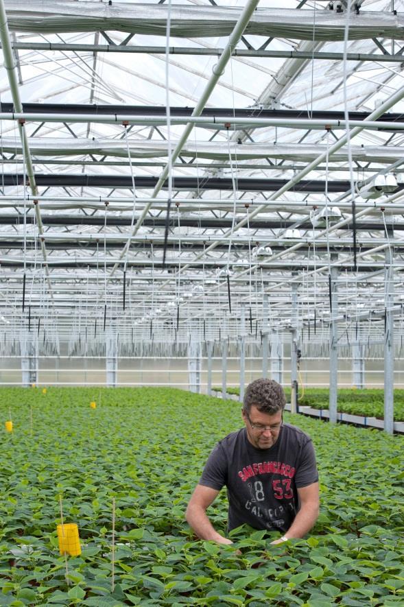 Klimatkollen - 20A Beräkna utsläppen av växthusgaser från gården beroende på: Växtföljd, grödor och gödsling Energianvändning Produkter som kommer in till eller lämnar gården Åtgärder och fortsatt