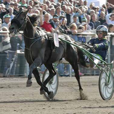 HalmstadTravet Måndag januari Första