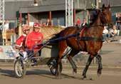 Lägg därtill i felfria lopp obesegrade Cash Crowes framfart, med segrar i Drottning Silvias Pokal och Derbystoet som givna höjdpunkter så förstår ni att det lär krävas en del för att 08 skall bli