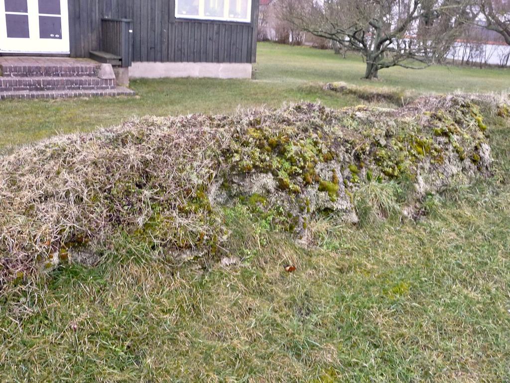 Material till nya och högre tångvallar finns det gott om på stränderna.