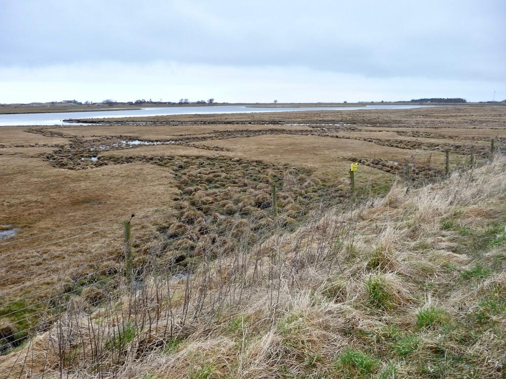 För en gångs skull valde vi inte att gå vidare på Kärleksstigen utan på den bredare banvallen där järnvägen en gång gick från Skanör till Falsterbo.