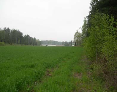 I områdets mellersta del finns en hällmark på en nivå om ca 29m över havets yta.