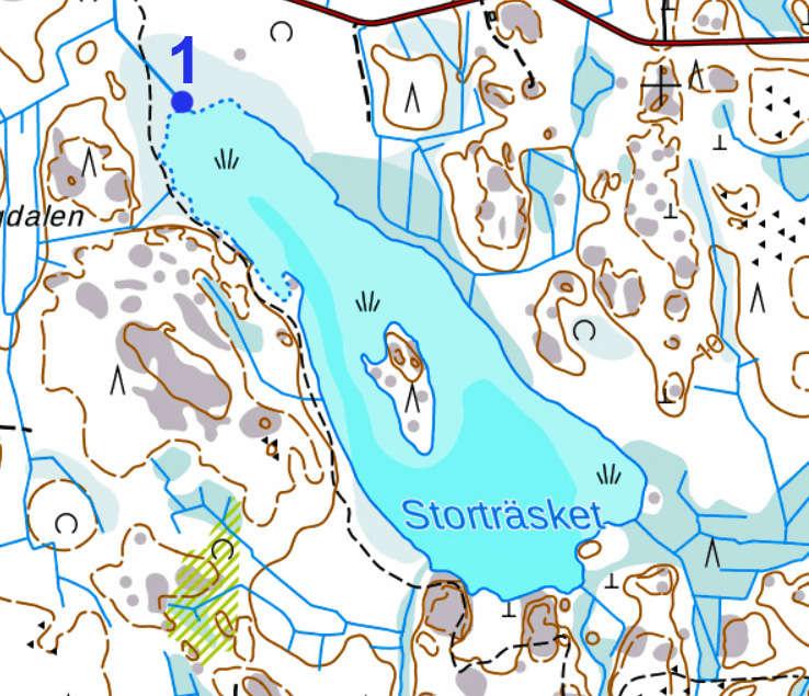 Storträsket år 2012 med 5 större skogsdikningsområden.
