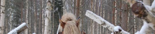 Själv tog jag min tillflykt in i en vedbod, för att komma undan blåsten och snön.