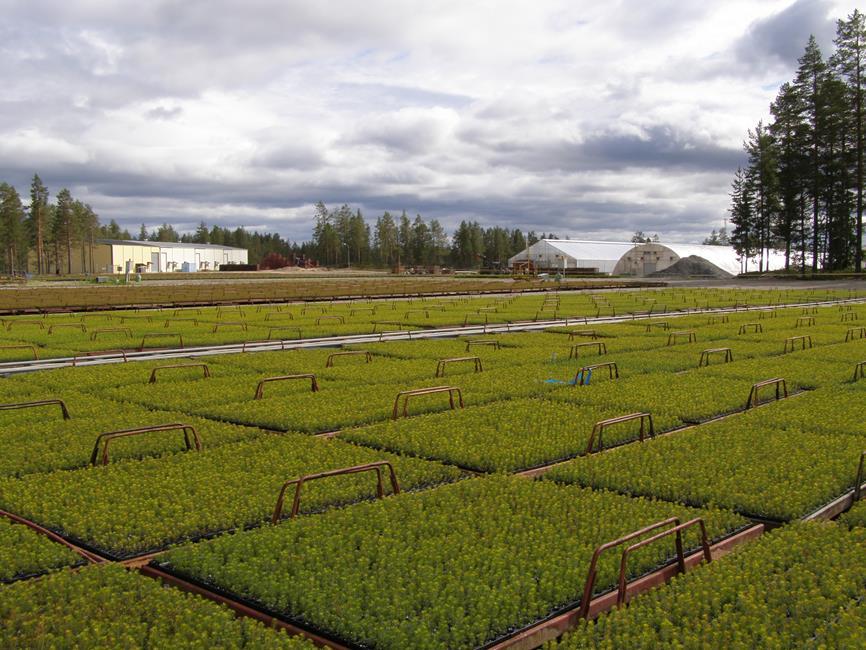 Plantmaterialets spårbarhet från fröplantage till etablerad