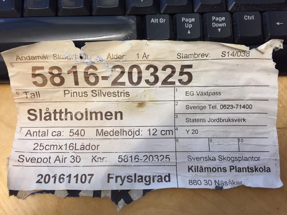 Komponenter i plantkvalitét Trädslag Ursprung/proveniens Förädlingsgrad