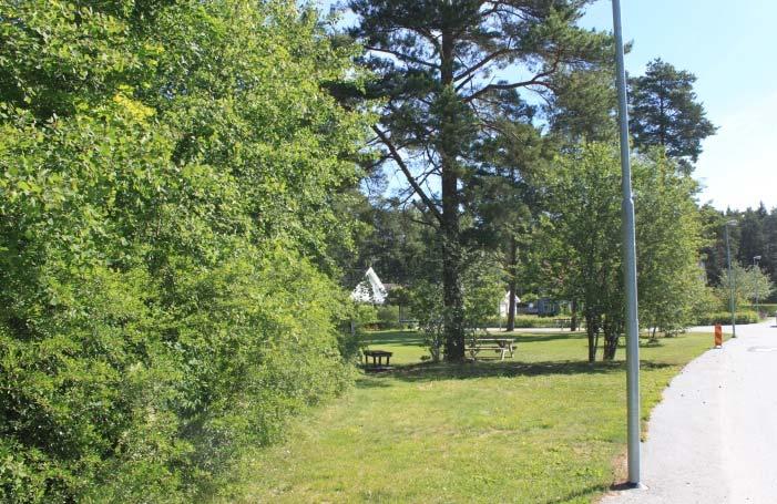 Entréer Varje enskilt bostadshus inom planområdet har en huvudentré och en groventré. Samtliga entréer ligger i marknivå och det finns därför goda förutsättningar att skapa tillgängliga entréer.