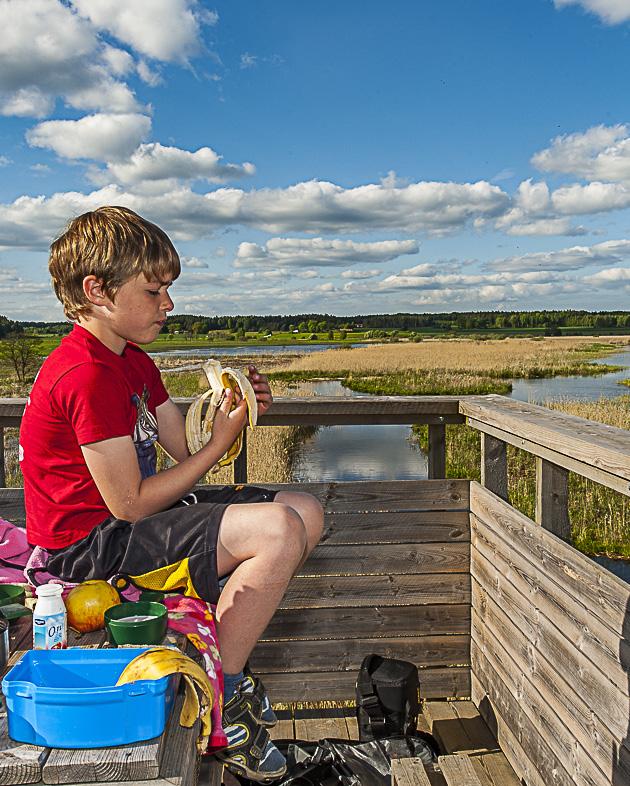 biologisk mångfald och internationell miljövård på WWF.