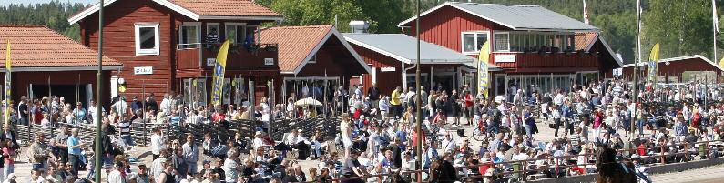 Rättvik Telefon 0248-130 25 www.dalatravet.se info@dalatravet.se 90,8 Mz 2 DAGENS PROGRAM Kl. 12.30 Inskrivningen öppnar (0248-130 27) Kl. 12.30 Banan öppnar Kl. 13.00 Entré och drive-in öppnar Kl.