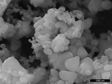 SEM images of the β-tcp