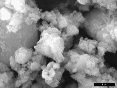 SEM images of the β-tcp powders with and without