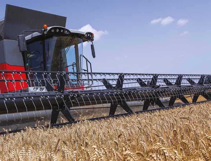 09 Inmatning alltid axet först FRÅN MASSEY FERGUSON Korrekt inmatning från skärbordet till tröskan är nyckeln till hög kapacitet - om det blir rätt från början kan de optimerade komponenterna i din