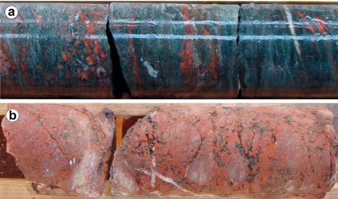 6. Photograph of selected drill core sections from the zone core of DZ5 in KAS09, showing the character of sealed networks and associated breccias. 3.