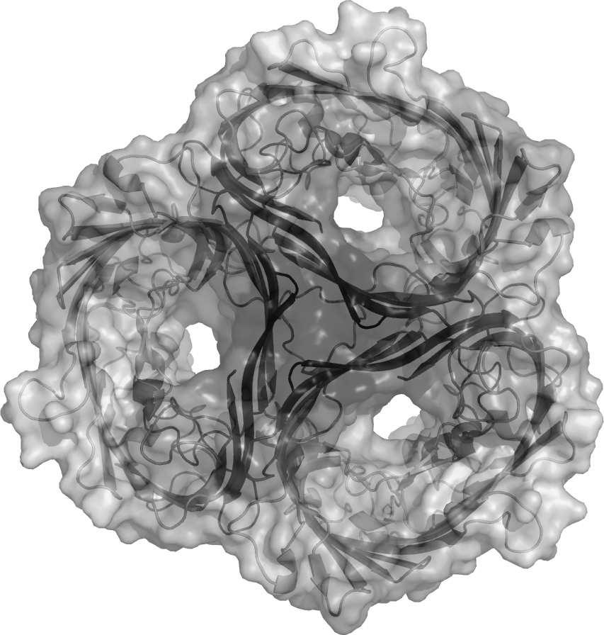 Truly central to how cells function, and the basis for my previous claim that all cells are very similar, is a trinity of macromolecules found in absolutely all cells.