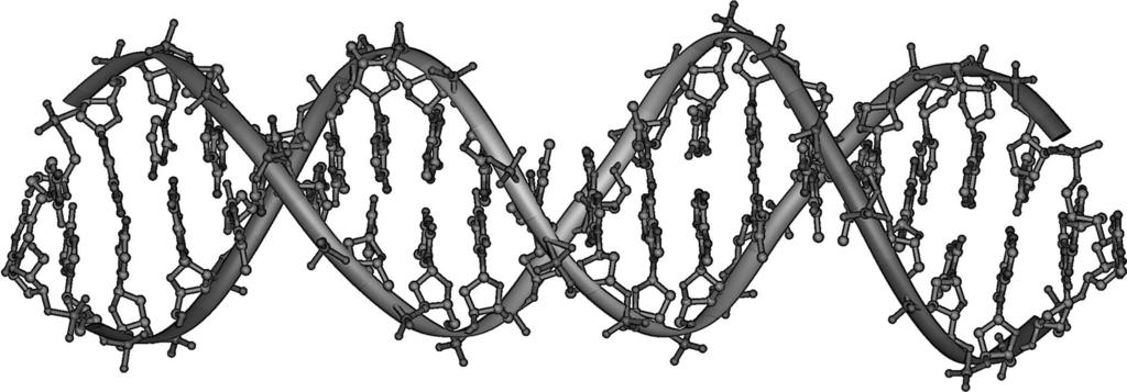 i.2 Real life 5 The structure of a protein is closely linked to its function.