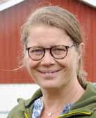 Ordförandens rader Valp-boom, aktiva uppfödare och nya medlemmar! Det råder valp-boom med airedaleterriermått mätt.