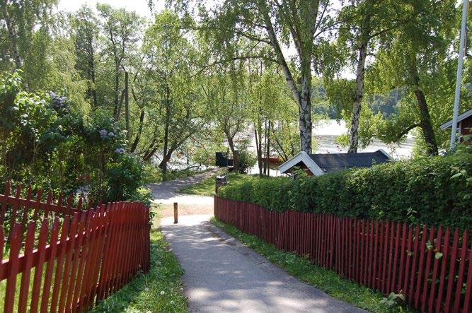 Odling och plantskola När närområdet förtätas ökar behov för kolonilotter och odling, redan idag är det kö.