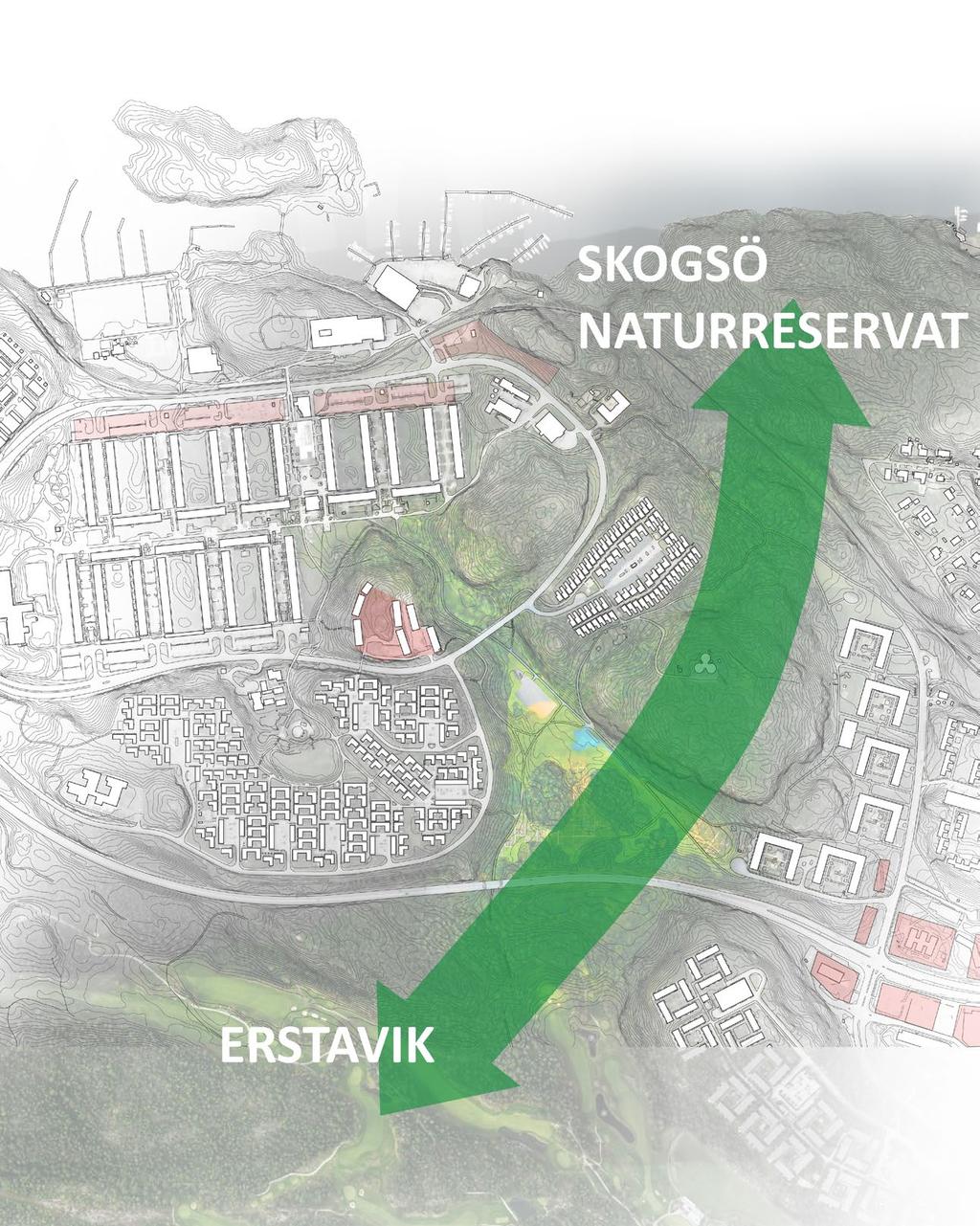 Ekologiskt läge Gröna dalen är en viktig ekologisk spridningskorridor och länk mellan Skogsö naturreservat och Erstavik. Gröna dalen utför en rad ekosystemtjänster.