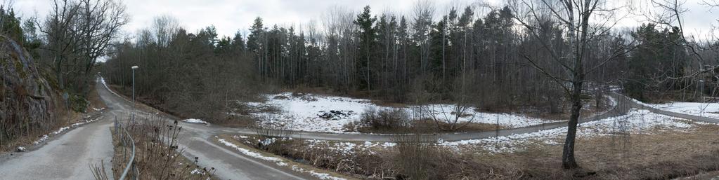 Eftersatt idag - en gemensam oas i framtiden Gröna