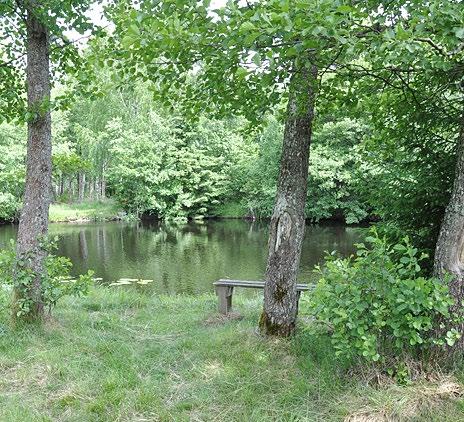 Allemansrätten ger oss en fantastisk möjlighet att röra oss fritt i naturen så länge vi inte stör eller förstör.