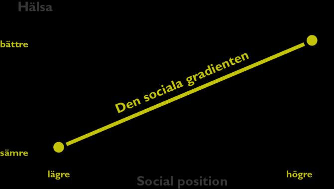 Figur 1. Den sociala gradienten ju högre social status, desto bättre hälsa [6].