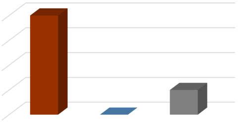Övrigt arbete Antal Anmälan Barn som far illa 2 Arbetsgivarekontakt 7 sökt arbete 2 Bankkontakter 6 Kontakt barns skola 3 Bostad sanering egen betalning 1 Reducerad hyra 1 Sökt bostad 13 Präst/Diakon