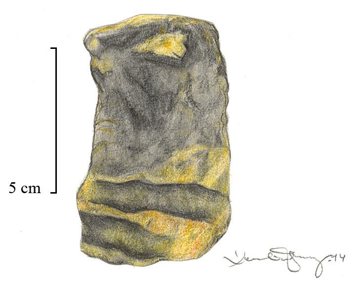 D) lera från väggen med avtryck efter lodräta vidjor, E) efter horisontella