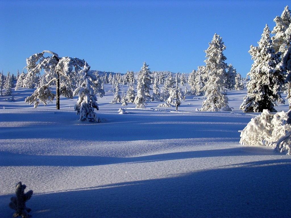 Program på Äldrecentrum Januari- Februari 2019 Öppetider: Vardagar: kl. 9.30-12.00, 13.00-16.