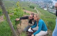 2017 paco & lola Albariño... 520 kr paco lola - rias baixas österrike 2014 fass 4 Grüner Veltliner... 520 kr Bernhard Ott - Wagram 2011 spiegel Grüner Veltliner - enskild vingård.