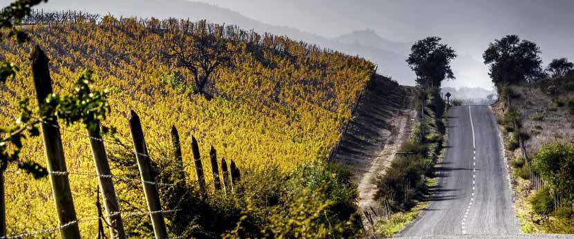 Chile - Valle Central