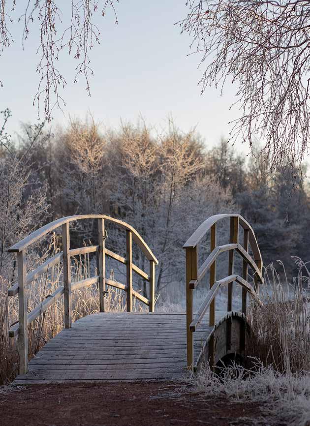 VÅR/VINTER FOTO: