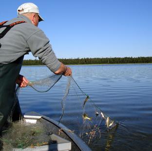 Redovisning av Sötvattenslaboratoriets nätprovfisken i sjöar år 2006