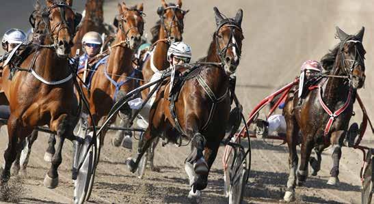 Defilering: 8: TRIO TVILLING VINNARE PLATS SOLVALLA // 0 Stolopp 0 M VOLTSTART -åriga och äldre ston högst 0.000 kr. Körsvenskrav kat.. 0 m. Voltstart. Pris: 0.000-0.000-.000-7.00-.000-(.00)-(.00) kr.