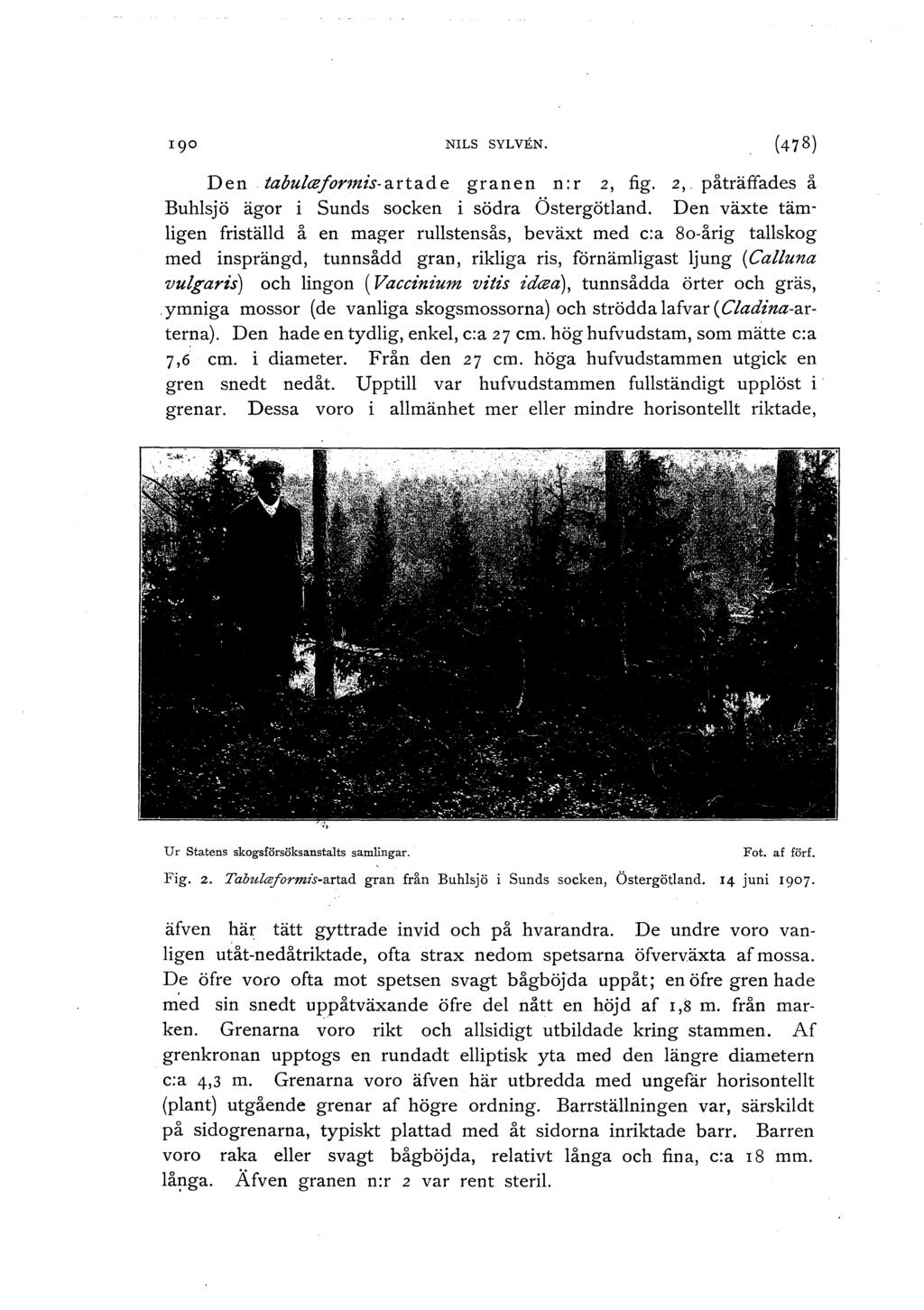 NILS SYL VEN. (4 78) Den tabula:formis-artade granen n:r 2, 