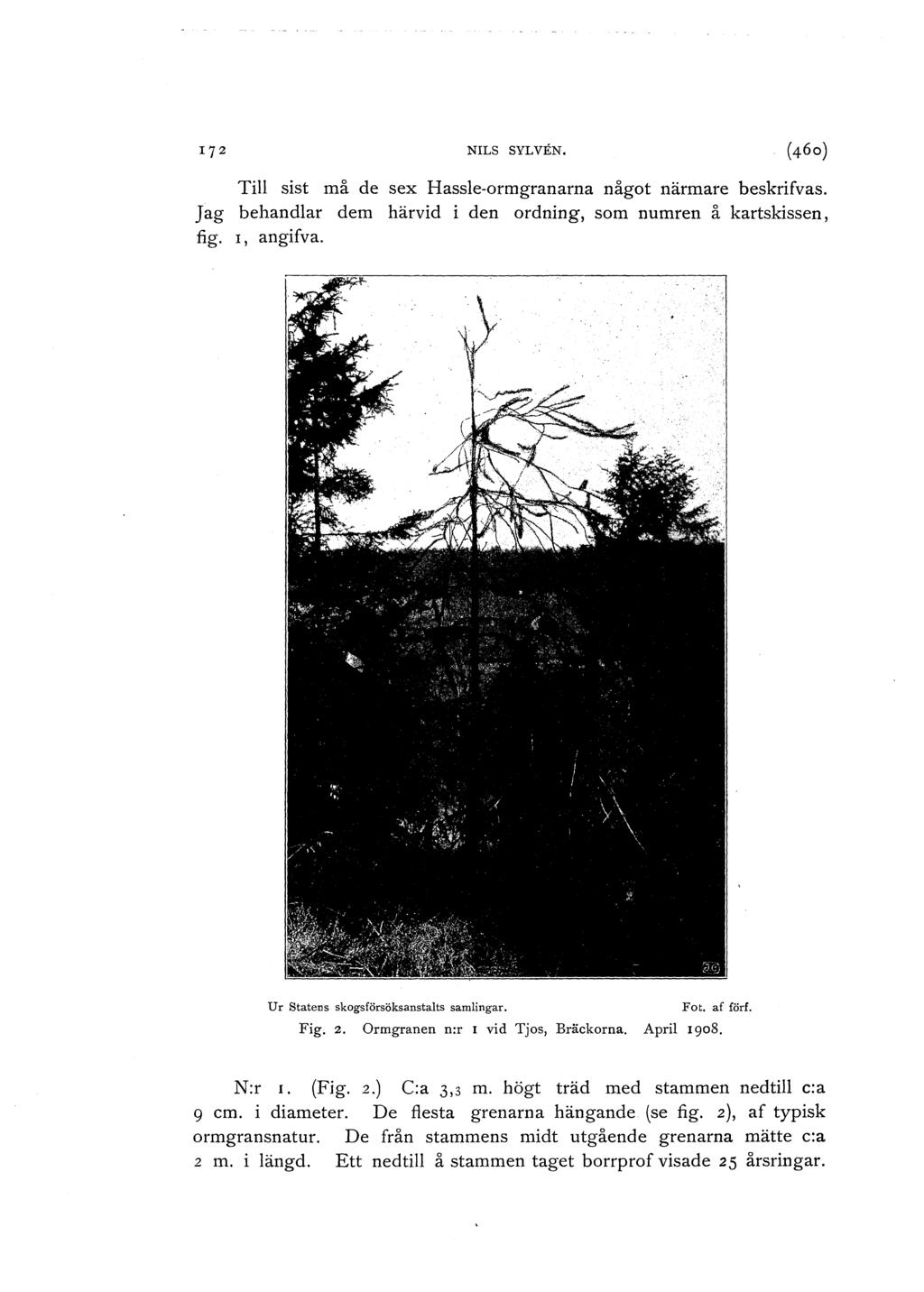 q z NILS SYLVEN. Till sist må de sex Bassle-ormgranarna något närmare beskrifvas. Jag behandlar dem härvid i den ordning, som numren å kartskissen, fig. r, angifva.