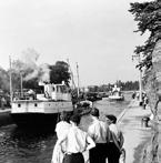 Här kan du ta del av digitala utställningar, filmer, bilder och berättelser om de människor,