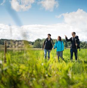 UTE ÄR DET NYA INNE pilgrimsleder i västra götaland mil av inre och yttre resor. Att vandra som pilgrim är en global företeelse och vanligt inom världens stora religioner.