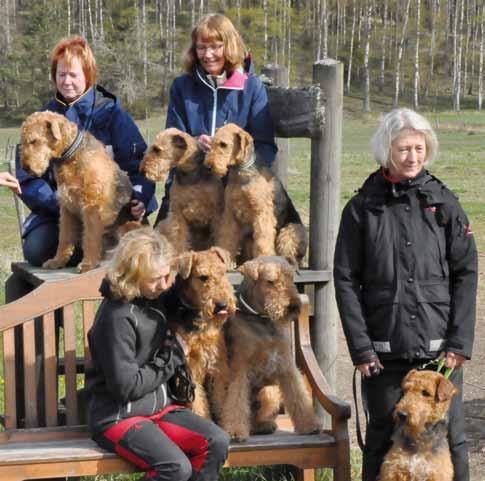 AiredaleTerriern Medlemstidning för AiredaleTerrierGillet Nr 2 2017 Redo för gruppbild.