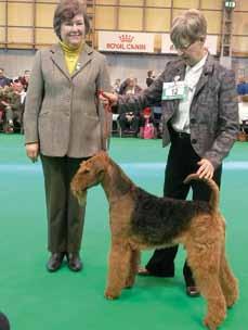Rapport från Crufts i Birminghamn Bästa valp Jokyl Red Letter Day tillsammans med Mary Swash. På en helt vanlig dag i skogen gick jag på promenad med älsklingen Daisi.
