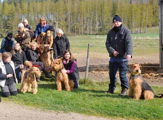 och Zenit, Mia Andersson med Eddie, Sara Eriksson med Robin, Lovisa Andersson med Dante, Karin Fredriksson med en skymd Charlie, Anna Arne-Andersson med Rosie, Elisabeth Svane med Cathie, Jenny