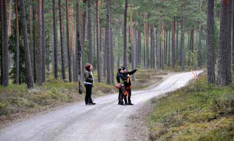 Spårdiskussion i den vackra skogen.