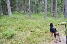 Välorganiserat Efter en god lunch bytte vi plats i skogen, spårarna fick gå patrullstig och vi