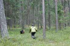 Vi samlades som vanligt på fre-... men ingen lurar en airedaleterrier.