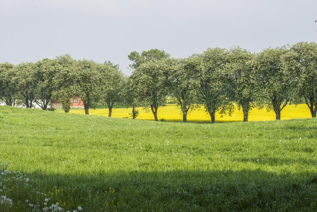 Hässleholm-Lund Skåne Län