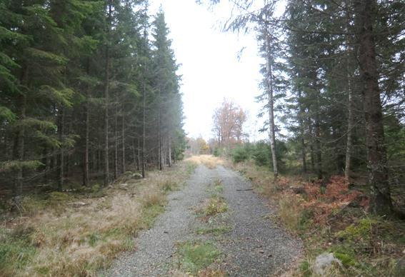 Natur & kultur Inskrivningar, servitut och samfälligheter Två avtalsservitut gällande kraftledning, En nyttjanderätt tele samt en Avkomsträtt (ej längre aktuell) belastar fastigheten.
